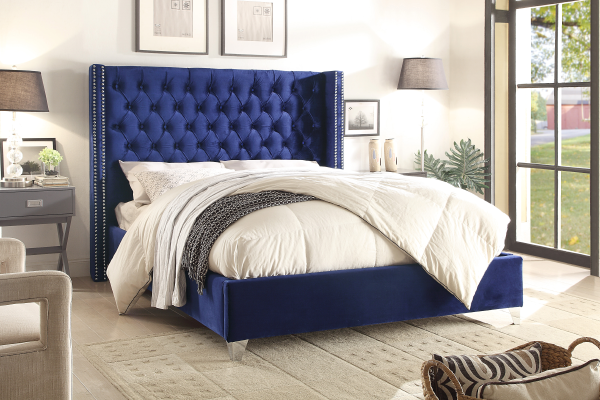 Velours Bleu Royal